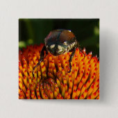 花の虫 缶バッジ (正面)