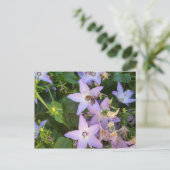 花の蜂 ポストカード (スタンド正面)