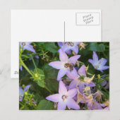 花の蜂 ポストカード (正面/裏面)