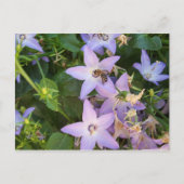 花の蜂 ポストカード (正面)