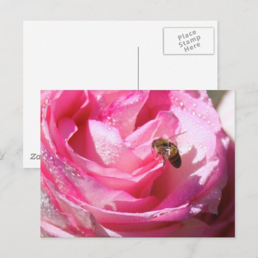 『花の蜜蜂』 ポストカード (正面/裏面)