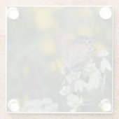 花の蝶かつお ガラスコースター (裏面)