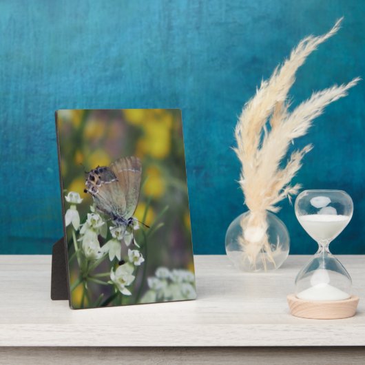 花の蝶かつお フォトプラーク (側面)