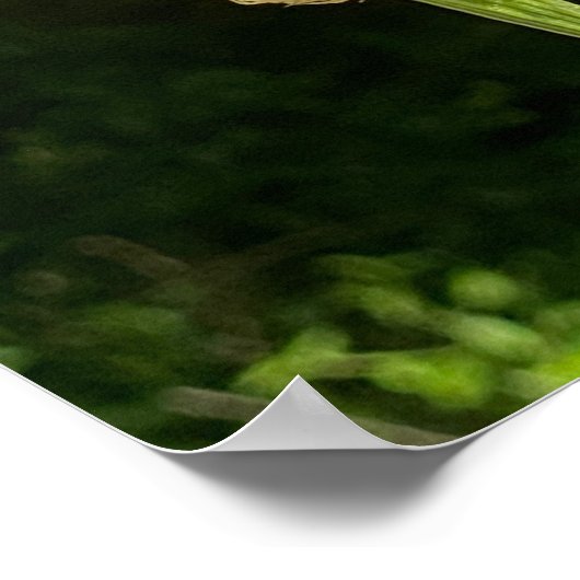 花の蝶と希望と信仰に関する節 ポスター (角)