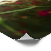 花の蝶のクローズアップ ポスター (角)