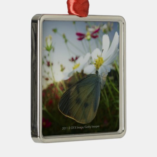 花の蝶のクローズアップ メタルオーナメント (右)