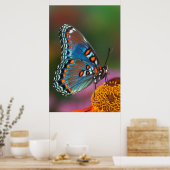 花の蝶の輪郭 ポスター (キッチン)