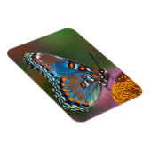 花の蝶の輪郭 マグネット (右側)