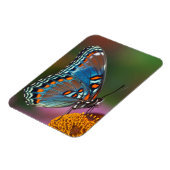 花の蝶の輪郭 マグネット (左側)