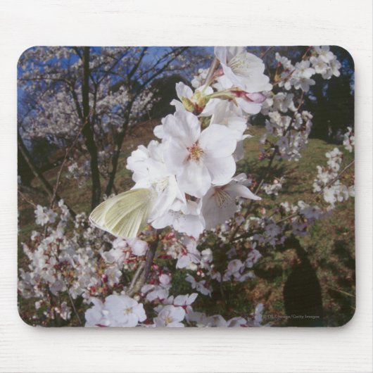 花の蝶のFisheyeの眺め マウスパッド (正面)