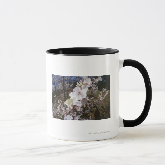 花の蝶のFisheyeの眺め マグカップ (右)