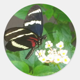 花の蝶シール ラウンドシール