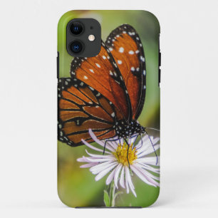 花の蝶女王 iPhone 11 ケース