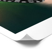 花の蝶 ポスター (角)