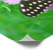 花の蝶 ポスター (角)