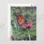 花の蝶 ポストカード (正面/裏面)