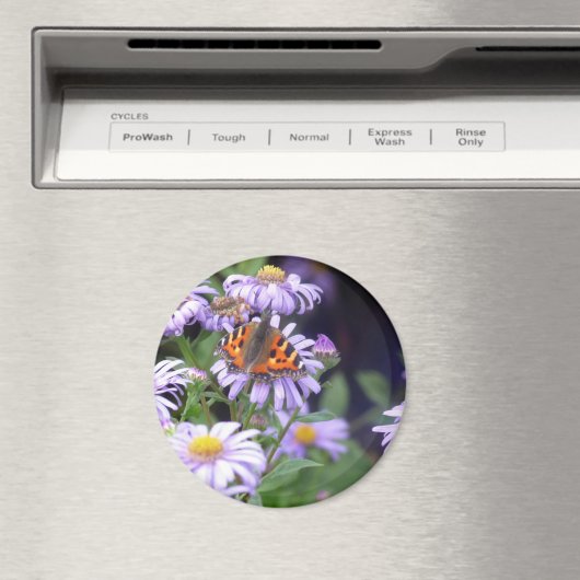 花の蝶 マグネット (インサイチュ (食洗機))