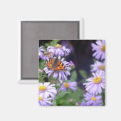 花の蝶 マグネット (正面/裏面)