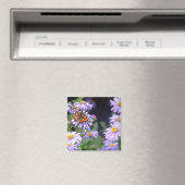 花の蝶 マグネット (インサイチュ (食洗機))