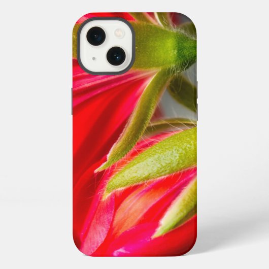 花の裏からゼラニウムを巻き上げる iPhoneケース (裏面)