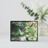 花の言語ザブラックベリー ポストカード (スタンド正面)