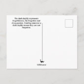 花の言語ダークデーリリー葉書 ポストカード (裏面)