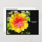 花の言語ハイビスカスハガキ ポストカード (正面/裏面)