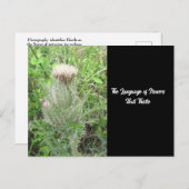 花の言語ブルアザミ ポストカード (正面/裏面)