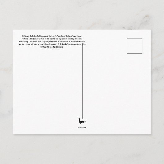 花の言語学士ボタン葉書 ポストカード (裏面)