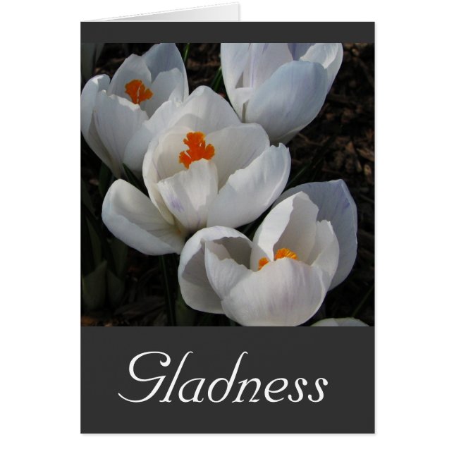 花の言語 (正面)