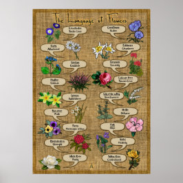 花の言語 ポスター