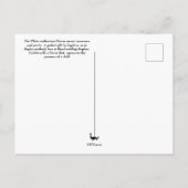 花の言語 – Anthurium ポストカード (裏面)