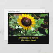 花の言語: Black-eye susan ポストカード (正面/裏面)