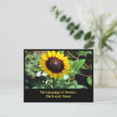 花の言語: Black-eye susan ポストカード (スタンド正面)