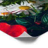 花の赤と白アストニア ポスター (角)