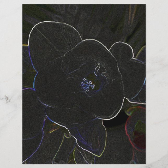 花の輪郭を描いたフリーシア (正面)