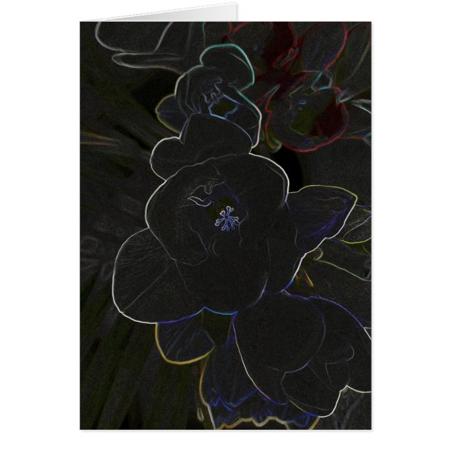 花の輪郭を描いたフリーシア (正面)