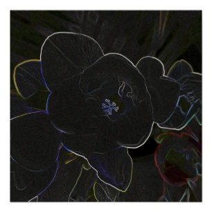 花の輪郭を描いたフリーシア ポスター