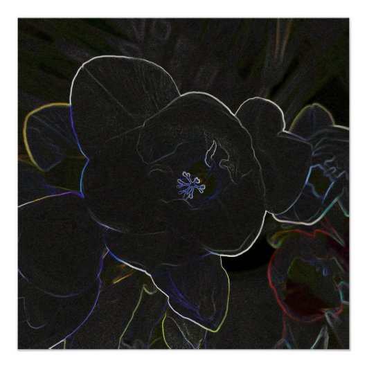 花の輪郭を描いたフリーシア ポスター (正面)