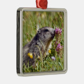 花の近くのアルパインマーモート メタルオーナメント (右)