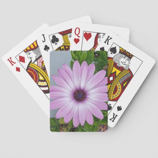 花の遊裏のカード トランプ (裏面)