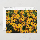 花の野 ポストカード (正面/裏面)