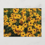 花の野 ポストカード (正面)