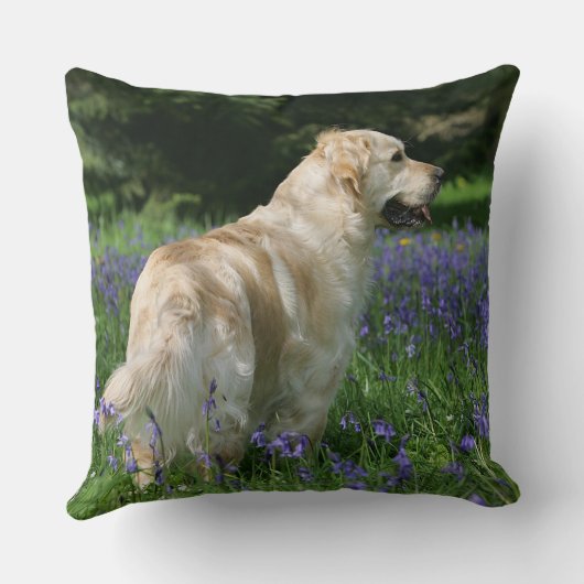 花の金Retreiver クッション (裏面)