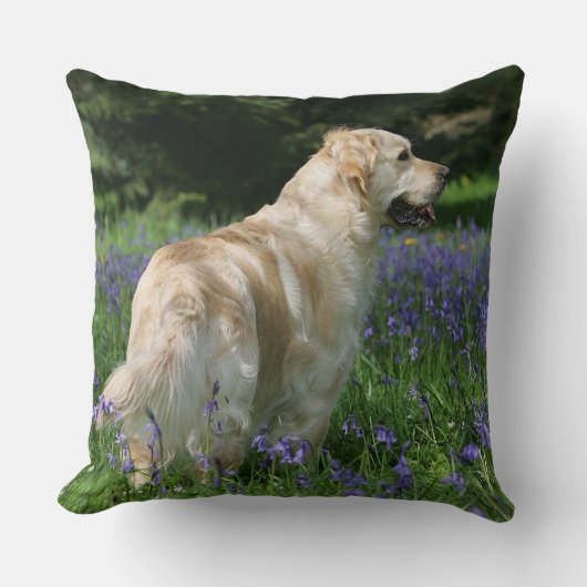 花の金Retreiver クッション (正面)