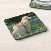 花の金Retreiver コースター (左側)