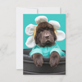 花の鉢に入った子犬のグリーティングカード サンキューカード