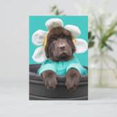 花の鉢に入った子犬のグリーティングカード サンキューカード (スタンド正面)
