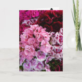 花の開花 カード (正面)