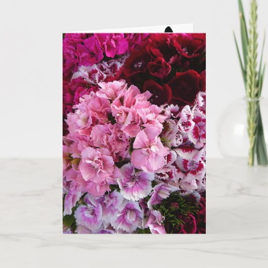 花の開花 カード (正面)